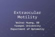 Extraocular Motility