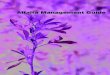 Alfalfa Management Guide1