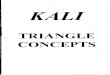 Kali Triangle Concepts from Dan Inosanto