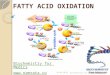 Fatty Acid Oxidation