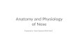 Anatomy and Physiology of Nose