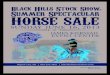 BHSS Summer Spectacular Horse Sale