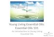 Young Living Essential Oils: Essential Oils 101