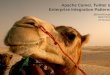 Twitter, Apache Camel e Enterprise Integration Patterns