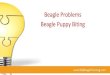 Beagle Problems - Beagle Puppy Biting