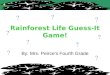 Rainforest life guess it game!