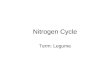 10 21 Nitrogen Cycle2