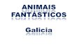 Animais fantásticos Galicia