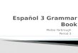 Español 3 Grammer Book- Mateo Y
