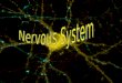 121 Week 9 Nervous System