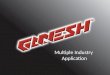 Ganesh: Multiple Industry Application