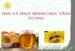 19 ong và các sản phẩm tpcn từ ong