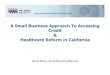 A Small Business Approach To Accessing Credit  & Healthcare Reform in California
