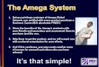 Amega Global Compensation Plan