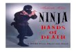 Ninja Hands of Death - Ashida Kim
