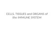 Cells Tissues and Organs of the Immune System Class Ppt
