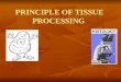Principle of tissue processing
