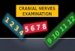 ALL Cranial Nerves Examination