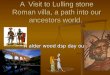A  Visit To Lulling Stone Roman Villa ,