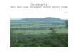 Serengeti Day 1