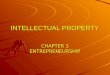 Chapter 03 intellectual property