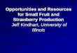 Opportunities And  Resources For  Small  Fruit And