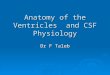 Ventricular Anatomy and CSF Physiology