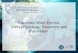 Traumatic Brain Injuries: Pathophysiology, Treatment and Prevention