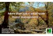 More than just small scale forest management