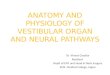Anatomy and Physiology of Vestibular Organ and Neural