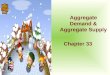 Chap_33 Aggregate Demand & Aggregate Supply