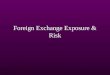 Foreign Exchange Risk and Exposure