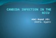 Candida Infection in the Nicu
