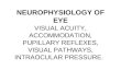 Neurophysiology of Eye