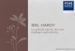 BRL Hardy Ltd