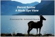 Forestry  Sector Analysis of India (Paper and NTFP Sub  Sector Analysis)