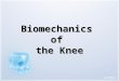 Bio Mechanics of the Knee