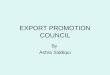 Export Promotion Council