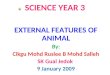 SCIENCE YEAR 3 (External Features)