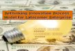 Rethinking innovation process model for latecomer enterprise