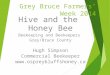 Hugh Simpson Eco Day - The Hive and the Honeybee