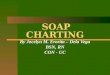 Soap Charting