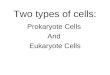 Prokaryotes vs eukaryotes