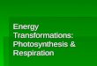 Respiration & photosynthesis