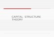 Capital Structure Theory 2