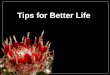 Cactus: some tips for better life