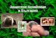 защитени бозайници в българия васил коларов