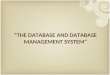 The Database and Database Management System