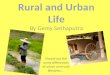 Urban And Rural Life Korat Newest 1