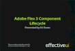 Adobe Flex 3 Component Life Cycle